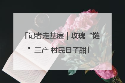 记者走基层｜玫瑰“链”三产 村民日子甜