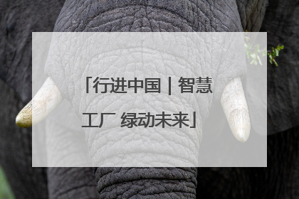 行进中国｜智慧工厂 绿动未来