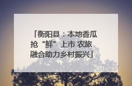 衡阳县：本地香瓜抢“鲜”上市 农旅融合助力乡村振兴