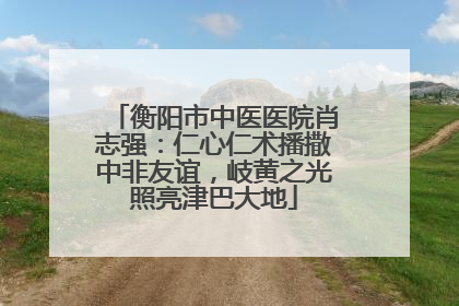 衡阳市中医医院肖志强：仁心仁术播撒中非友谊，岐黄之光照亮津巴大地