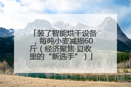 装了智能烘干设备，每吨小麦减损60斤（经济聚焦·夏收里的“新选手”）