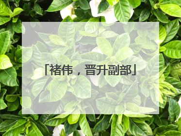 褚伟，晋升副部