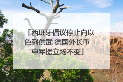 西班牙倡议停止向以色列供武 德国外长重申军援立场不变
