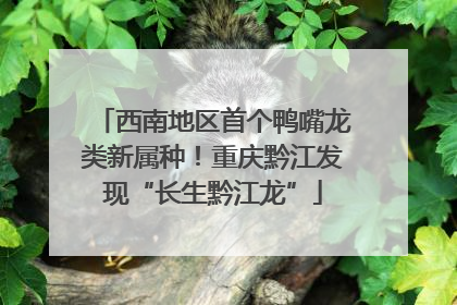 西南地区首个鸭嘴龙类新属种！重庆黔江发现“长生黔江龙”