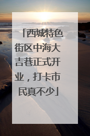 西城特色街区中海大吉巷正式开业，打卡市民真不少