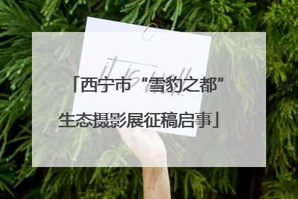 西宁市“雪豹之都”生态摄影展征稿启事