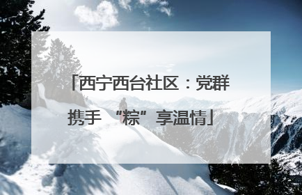 西宁西台社区：党群携手 “粽”享温情
