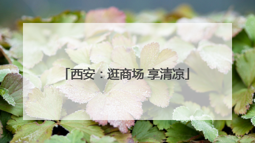 西安：逛商场 享清凉