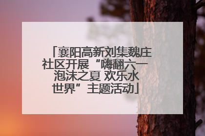 襄阳高新刘集魏庄社区开展“嗨翻六一 泡沫之夏 欢乐水世界”主题活动
