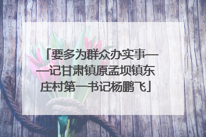 要多为群众办实事——记甘肃镇原孟坝镇东庄村第一书记杨鹏飞