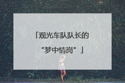 观光车队队长的“梦中情岗”