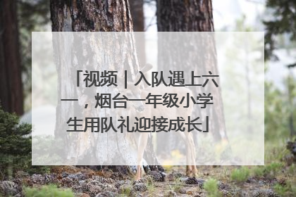 视频｜入队遇上六一，烟台一年级小学生用队礼迎接成长