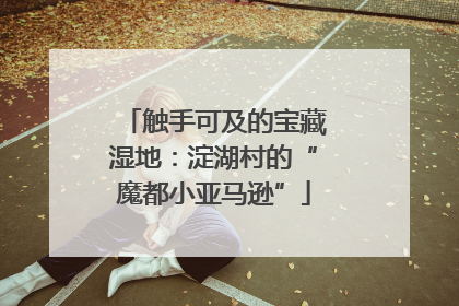 触手可及的宝藏湿地：淀湖村的“魔都小亚马逊”