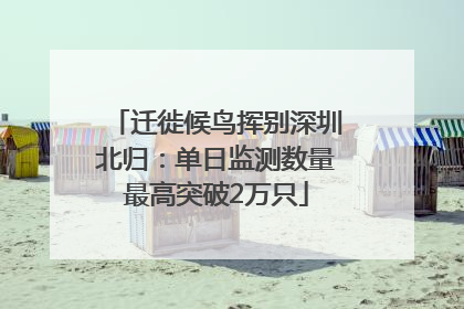 迁徙候鸟挥别深圳北归：单日监测数量最高突破2万只
