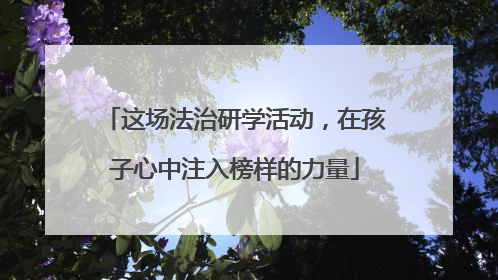这场法治研学活动，在孩子心中注入榜样的力量