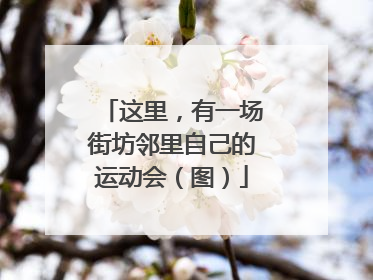 这里，有一场街坊邻里自己的运动会（图）