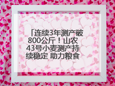 连续3年测产破800公斤！山农43号小麦测产持续稳定 助力粮食增产丰收