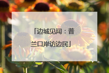 边城见闻：普兰口岸访边民