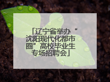 辽宁省举办“沈阳现代化都市圈”高校毕业生专场招聘会