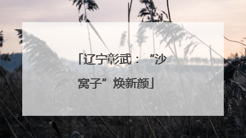 辽宁彰武：“沙窝子”焕新颜