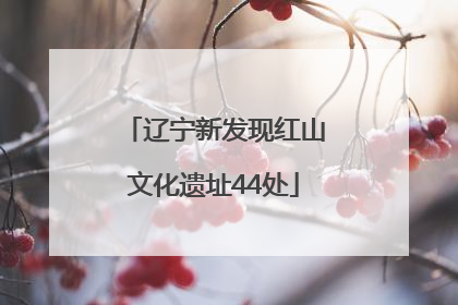 辽宁新发现红山文化遗址44处