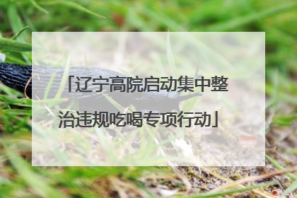 辽宁高院启动集中整治违规吃喝专项行动