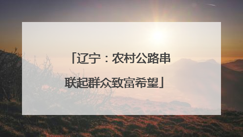 辽宁：农村公路串联起群众致富希望