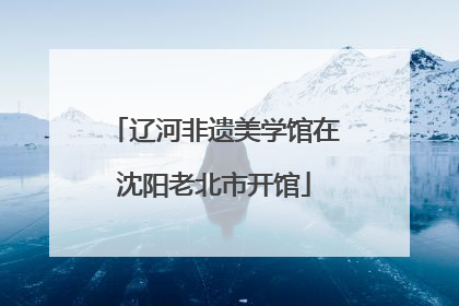 辽河非遗美学馆在沈阳老北市开馆
