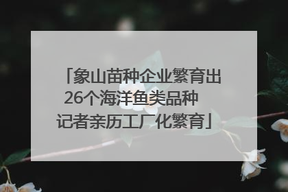 象山苗种企业繁育出26个海洋鱼类品种 记者亲历工厂化繁育