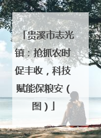 贵溪市志光镇：抢抓农时促丰收，科技赋能保粮安（图）