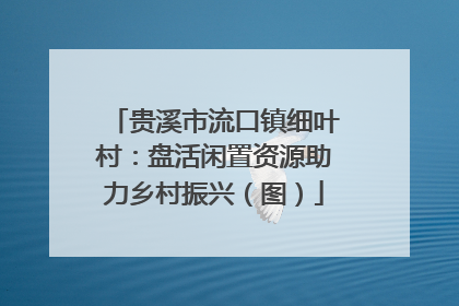 贵溪市流口镇细叶村：盘活闲置资源助力乡村振兴（图）