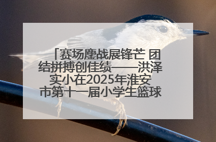 赛场鏖战展锋芒 团结拼搏创佳绩——洪泽实小在2025年淮安市第十一届小学生篮球比赛中再获佳绩