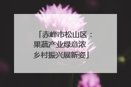 赤峰市松山区：果蔬产业绿意浓 乡村振兴展新姿