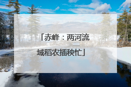 赤峰：两河流域稻农插秧忙
