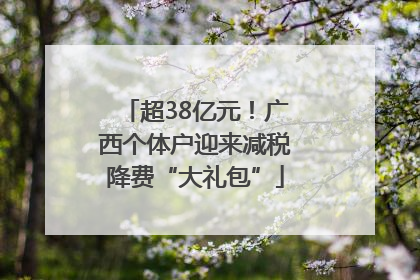 超38亿元！广西个体户迎来减税降费“大礼包”
