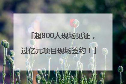 超800人现场见证，过亿元项目现场签约！