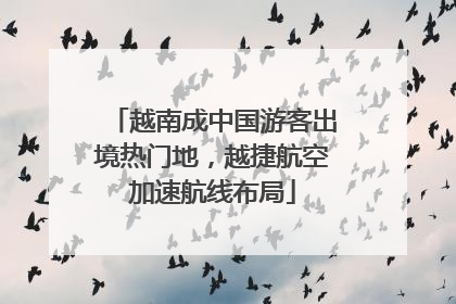 越南成中国游客出境热门地，越捷航空加速航线布局