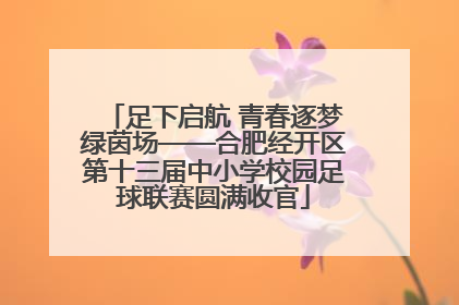足下启航 青春逐梦绿茵场——合肥经开区第十三届中小学校园足球联赛圆满收官