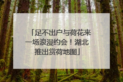 足不出户与荷花来一场浪漫约会！湖北推出赏荷地图