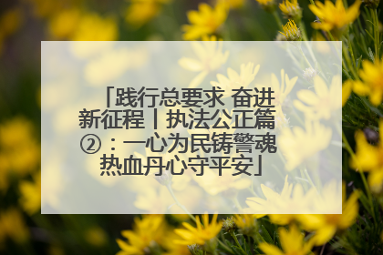 践行总要求 奋进新征程丨执法公正篇②：一心为民铸警魂 热血丹心守平安