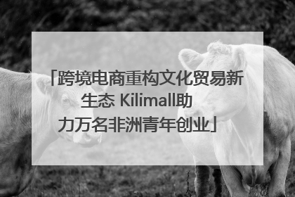 跨境电商重构文化贸易新生态 Kilimall助力万名非洲青年创业