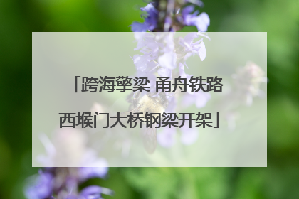 跨海擎梁 甬舟铁路西堠门大桥钢梁开架