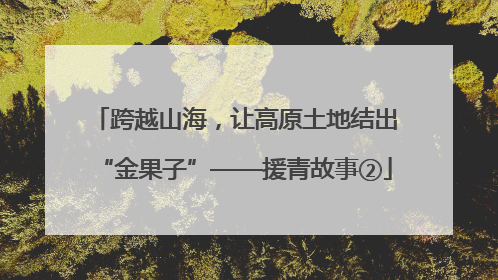 跨越山海，让高原土地结出“金果子”——援青故事②