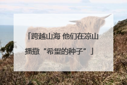 跨越山海 他们在凉山播撒“希望的种子”