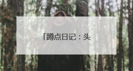 蹲点日记：头部航运企业为何聚集此地？