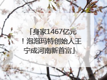 身家1467亿元！泡泡玛特创始人王宁成河南新首富