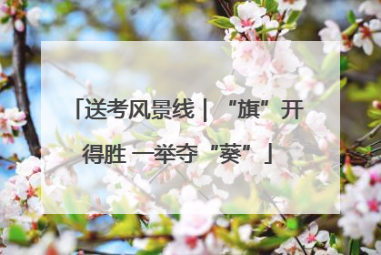 送考风景线｜“旗”开得胜 一举夺“葵”