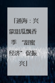 通海：兴蒙甜瓜飘香季 “甜蜜经济”促振兴