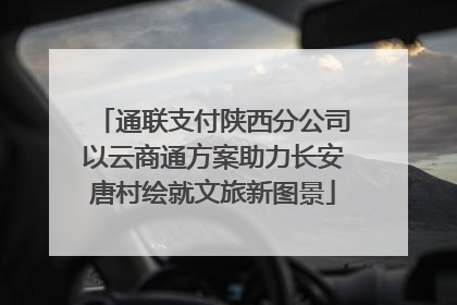 通联支付陕西分公司以云商通方案助力长安唐村绘就文旅新图景