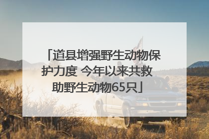 道县增强野生动物保护力度 今年以来共救助野生动物65只